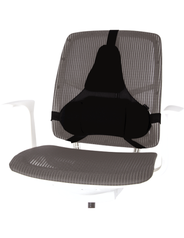 Fellowes Professional Series Negro