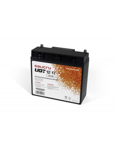 Salicru UBT 12/17 - Batería AGM recargable de 17 Ah