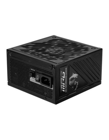 MSI MPG A1250GS PCIE5 unidad de fuente de alimentación 1250 W 20+4 pin ATX ATX Negro