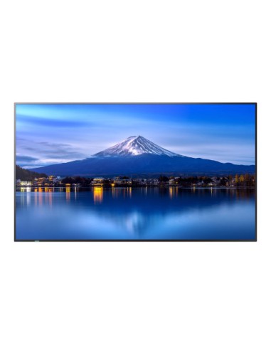 SHARP-NEC PROFESSIONAL LARGE FORMAT DISPLAYS PN-P556, 55" P-SERIES LFD, UHD, 700CD/M2, D-LED BACKLIGHT, 24/7 PROOF, SDM SLOT, CM