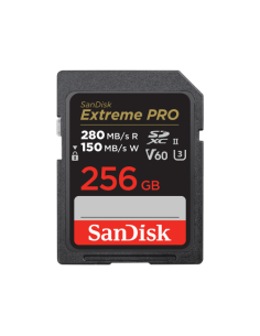 SanDisk SDSDXEP-256G-GN4IN memoria flash 256 GB SDXC UHS-II Clase 10