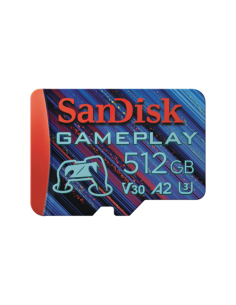 SanDisk SDSQXAV-256G-GN6XN memoria flash 256 GB MicroSD UHS-I