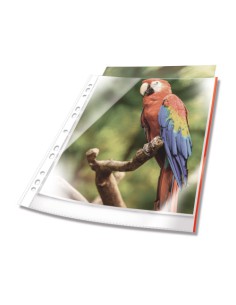 Durable 265503 protector de hojas A4 Polipropileno (PP) 25 pieza(s)