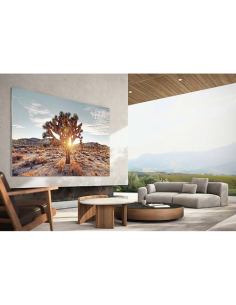 Samsung MNA110MS1AC 2,79 m (110") 4K Ultra HD Smart TV Wifi Acero inoxidable