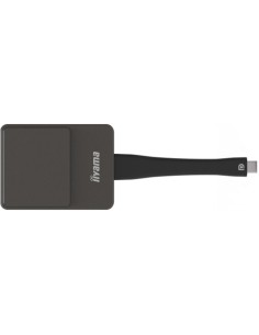iiyama WP D002C adaptador Smart TV USB 4K Ultra HD Negro, Plata