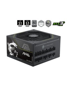 FUENTE ALIMENTACION MSI MAG A1000PLS PCIE5,PSU,1000W,80 PLUS PLATINUM,MODULAR,135MM,ACTIVE PFC,1XPCI-E 5 (12+4 PIN),4XPCI-E (6+2