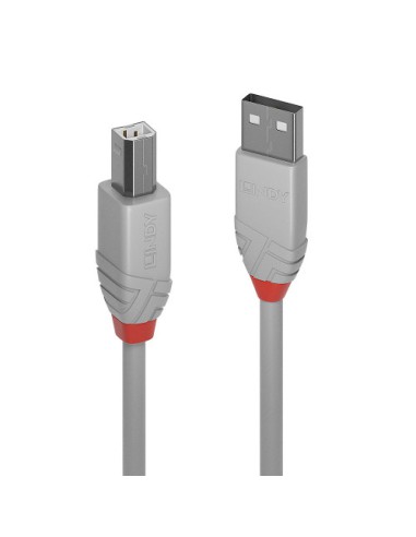 Lindy 36684 cable USB USB 2.0 3 m USB A USB B Gris