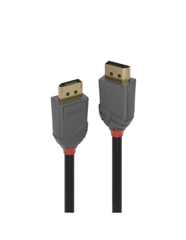 Lindy 36482 cable DisplayPort 2 m Negro