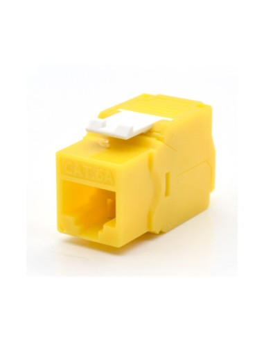 WP WPC-KEY-6AUP-TL/Y módulo de conector de red