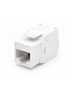 WP WPC-KEY-6AUP-TL/W módulo de conector de red