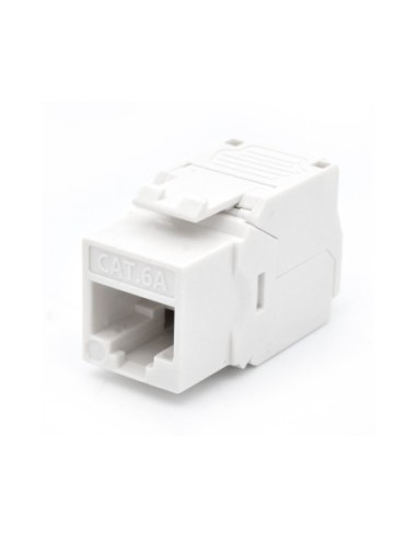 WP WPC-KEY-6AUP-TL/W módulo de conector de red