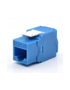 WP WPC-KEY-6AUP-TL/B módulo de conector de red