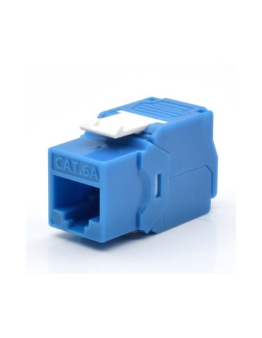 WP WPC-KEY-6AUP-TL/B módulo de conector de red