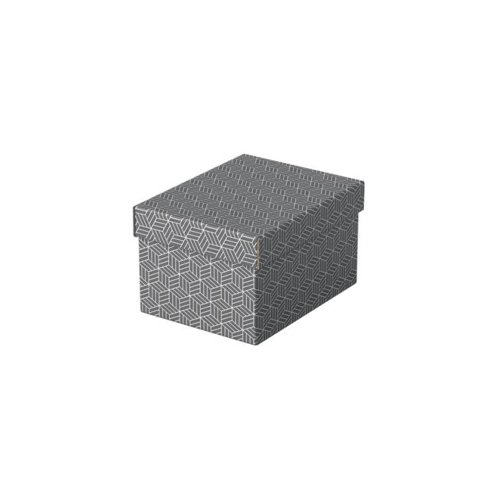 PACK 3 CAJAS GRISES 255X200X150MM ESSELTE 628281