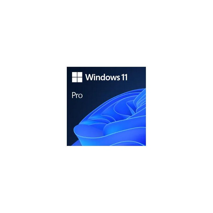 Microsoft Windows 11 Pro 1 licencia(s)