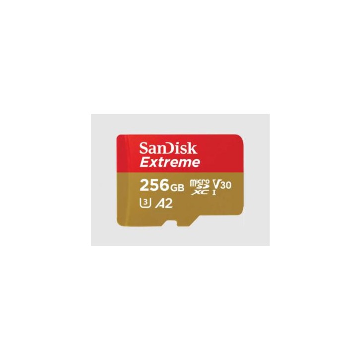 SanDisk Extreme 256 GB MicroSDXC UHS-I Clase 3