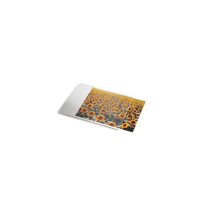 ALFOMBRILLA PERSONALIZABLE DATALINE PARA RATON ESSELTE 67691