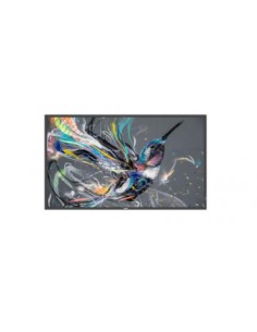 MONITOR PHILIPS 50" Q-LINE / PANEL VA D-LED 16:9 / 3840X2160 400CD/M2 / 8MS / PIXEL PITCH 0.285X0.285 / VESA 400X400/M6 / SOC MS