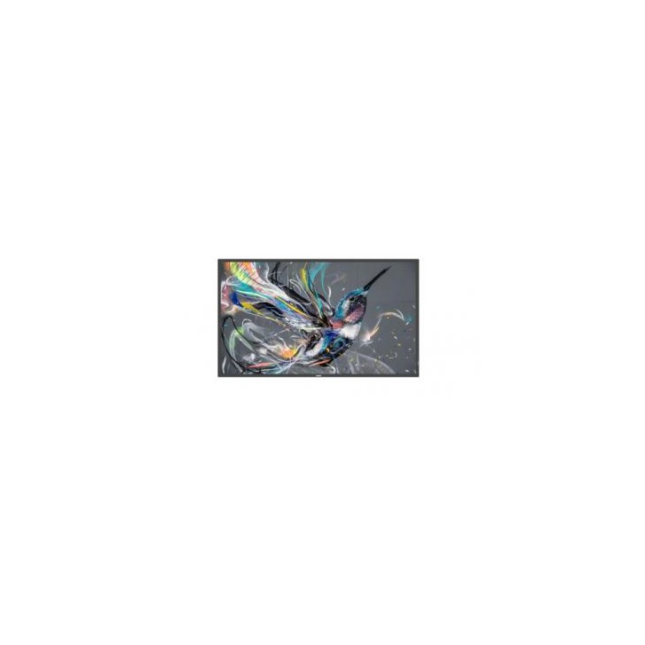 MONITOR PHILIPS 50" Q-LINE / PANEL VA D-LED 16:9 / 3840X2160 400CD/M2 / 8MS / PIXEL PITCH 0.285X0.285 / VESA 400X400/M6 / SOC MS