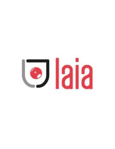 LAIA SOPORTE UNIVERSAL DE PARED DE HIERRO NEGRO GALVANIZADO (SWM)