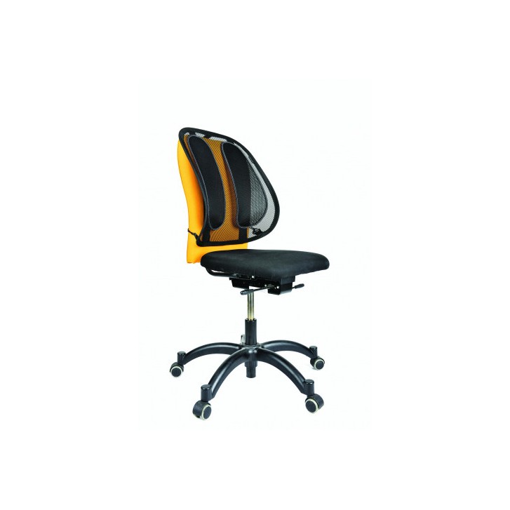 RESPALDO LUMBAR MESH OFFICE FELLOWES 9191301