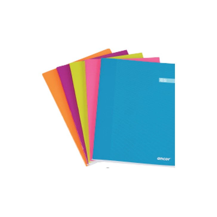 LIBRETA FOLIO CST 48 HOJAS 60G Q4X4 ST ANCOR 061291