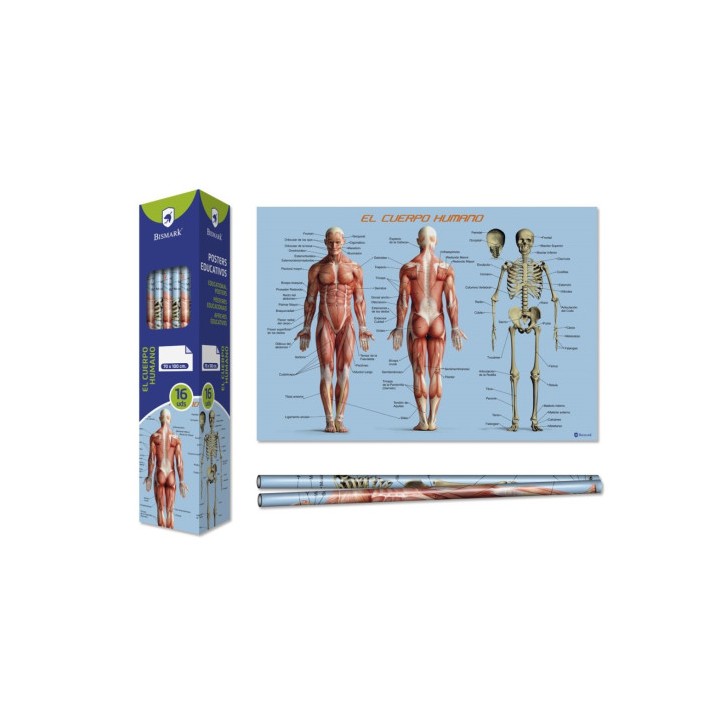 Bismark Poster Cuerpo Humano 70 x 100 cm