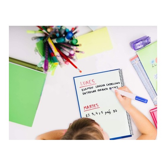 PACK 4+1 CUADERNO ESPIRAL CLASSIC W-E FOLIO 80 HOJAS 4X4 CON MARGEN COLORES VIVOS OXFORD 400122761