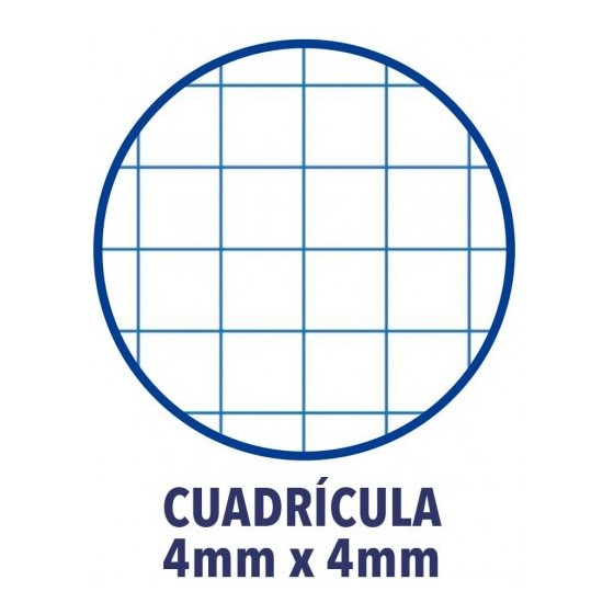 PACK 4+1 CUADERNO ESPIRAL CLASSIC W-E FOLIO 80 HOJAS 4X4 CON MARGEN COLORES VIVOS OXFORD 400122761