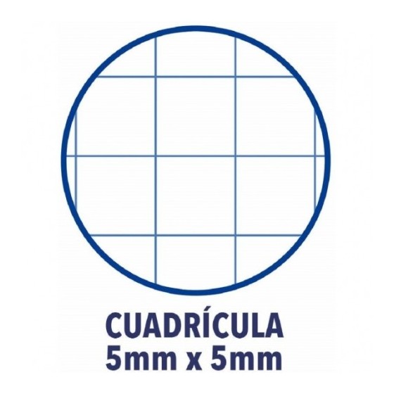 BLOC ENCOLADO COLOR 1 TAPA BLANDA A4+ 80 HOJAS 5X5 COLOR VERDE MANZANA OXFORD 400123674 (x5 unidades)